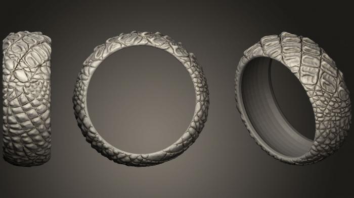 Jewelry rings (JVLRP_0412) 3D model for CNC machine